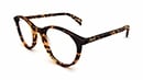 Tortoiseshell